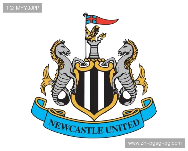 英超球队队徽补丁设计及其文化象征 英超球队队徽补丁设计及其文化象征