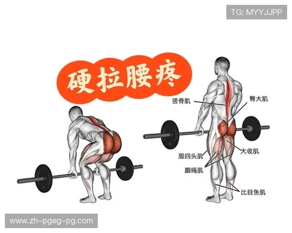 腰疼人群适合的健身器材锻炼方案